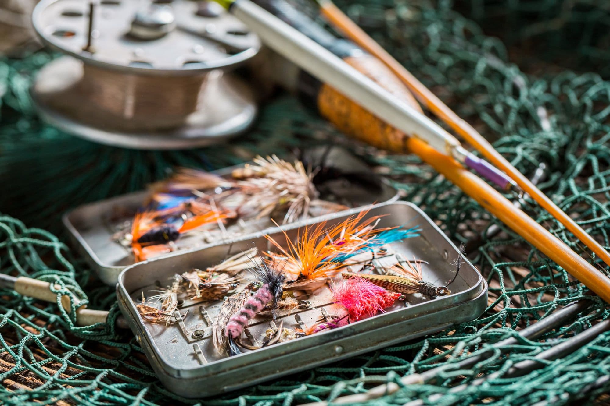 An open fly box full of flies